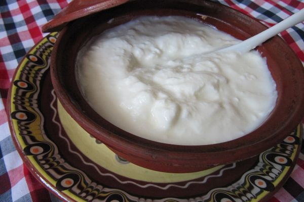 bulgarian-yogurt59A86FE5-7CEF-D900-D7C0-AB0B1FE2299B.jpg
